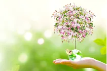 SDGsへの取り組み