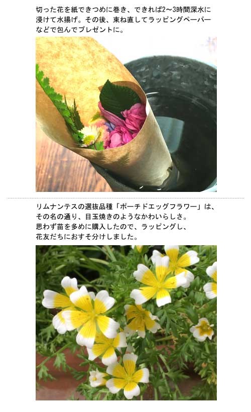 花贈りのヒント