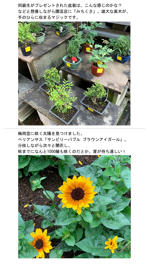 ときには戸外へ