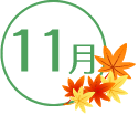 11月