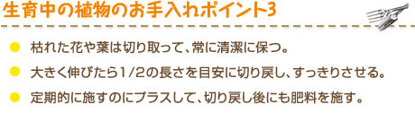 生育中の植物のお手入れポイント3　・枯れた花や葉は切り取って、常に清潔に保つ。・大きく伸びたら1/2の長さを目安に切り戻し、すっきりさせる。・定期的に施すのにプラスして、切り戻し後にも肥料を施す。