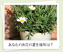 あなたのお花の置き場所は？