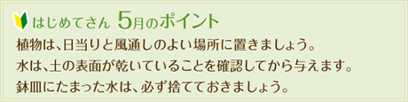 はじめてさん5月のポイント
  植物は、日当りと風通しのよい場所に置きましょう。
  水は、土の表面が乾いていることを確認してから与えます。
  鉢皿にたまった水は、必ず捨てておきましょう。