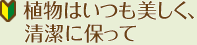 植物はいつも美しく、清潔に保って