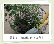 美しく、清潔に育てよう！