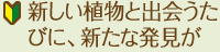新しい植物と出会うたびに、新たな発見が
