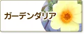 ガーデンダリア