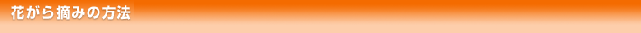 花がら摘みの方法