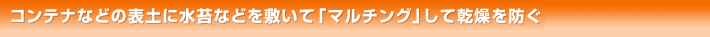 風通しをよくし、地面からの照り返しを防止