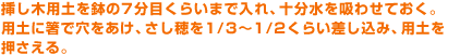 挿し木用土を鉢の７分目くらいまで入れ、十分水を吸わせておく。箸で穴をあけ、さし穂を1/3～1/2くらい差し込み用土を押さえる。
