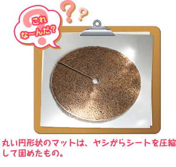 これな～んだ？丸い円形状のマットは、ヤシがらシートを圧縮して固めたもの。