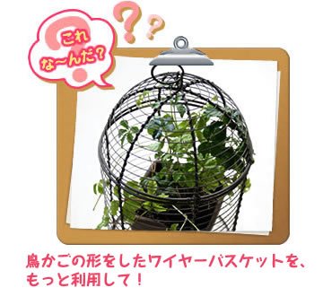 これな～んだ？鳥かごの形をしたワイヤーバスケットを、もっと利用して！