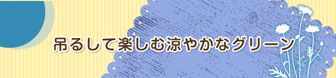 6月　吊るして楽しむ涼やかなグリーン
