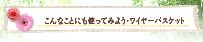 こんなことにも使ってみよう・ワイヤーバスケット
