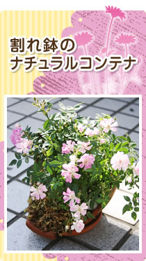 4月　割れ鉢のナチュラルコンテナ