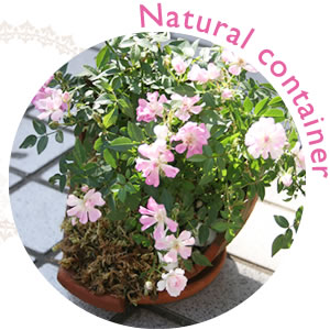 Natural container