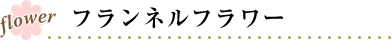 フランネルフラワー