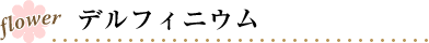 デルフィニウム