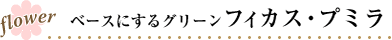 ベースにするグリーンフィカス・プミラ