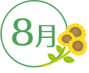 8月