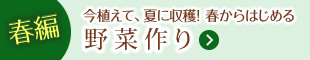 春編:今植えて、夏に収穫！ 春からはじめる野菜作り