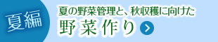 夏編：夏の野菜管理と、秋収穫に向けた野菜作り