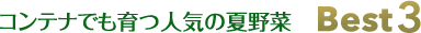 コンテナでも育つ人気の夏野菜Best3