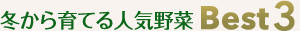 冬から育てる人気野菜Best3