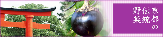 4月　京都の伝統野菜