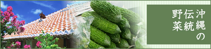 5月 沖縄の伝統野菜