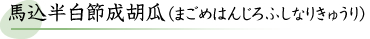 馬込半白節成胡瓜（まごめはんじろふしなりきゅうり）
