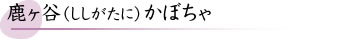 鹿ヶ谷（ししがたに）かぼちゃ