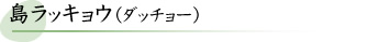 島ラッキョウ（ダッチョー）