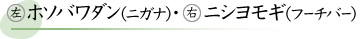 左がホソバワダン（ノガナ）・右がニシヨモギ（フーチバー）