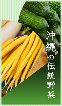 5月　沖縄の伝統野菜