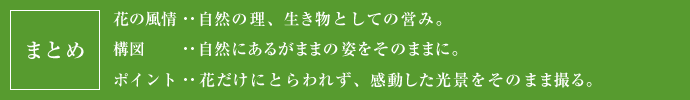 まとめ
花の風景･･自然の理、生き物としての営み。
構図･･自然にあるがままの姿をそのままに。
ポイント･･花だけにとらわれず、感動した光景をそのまま撮る。