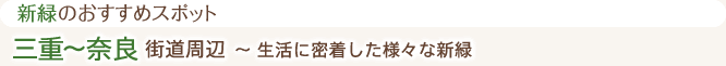 新緑のおすすめスポット 三重～奈良街道周辺