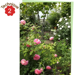 岩見沢市白井邸