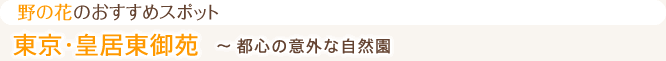 野の花のおすすめスポット 東京・皇居東御苑 ～ 都心の意外な自然園