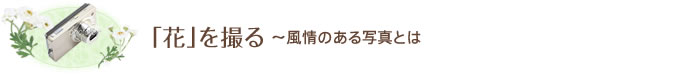 「花」を撮る～風情のある写真とは
