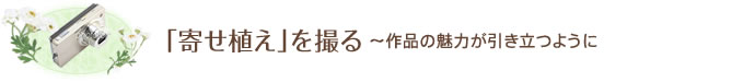 「寄せ植え」を撮る～作品の魅力が引き立つように