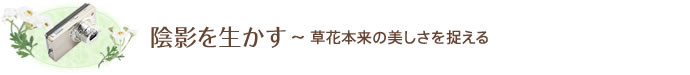 陰影を生かす～ 草花本来の美しさを捉える