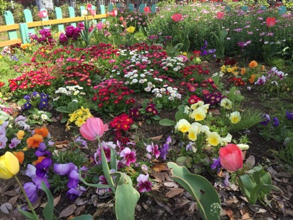 春の花壇