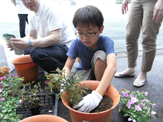 茎が傷まないように慎重に植えつけます