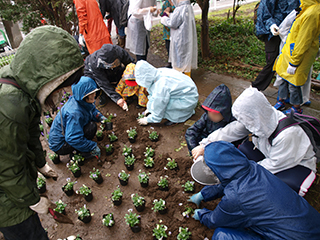⑦列が曲がらないように、お花がはみださないように気をつけて・・・