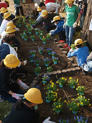 ④4人ずつのチームに分かれて苗で円をつくり、意見を出しあいます