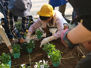 ③描いた線に沿って苗を並べてみて、植える場所を確認