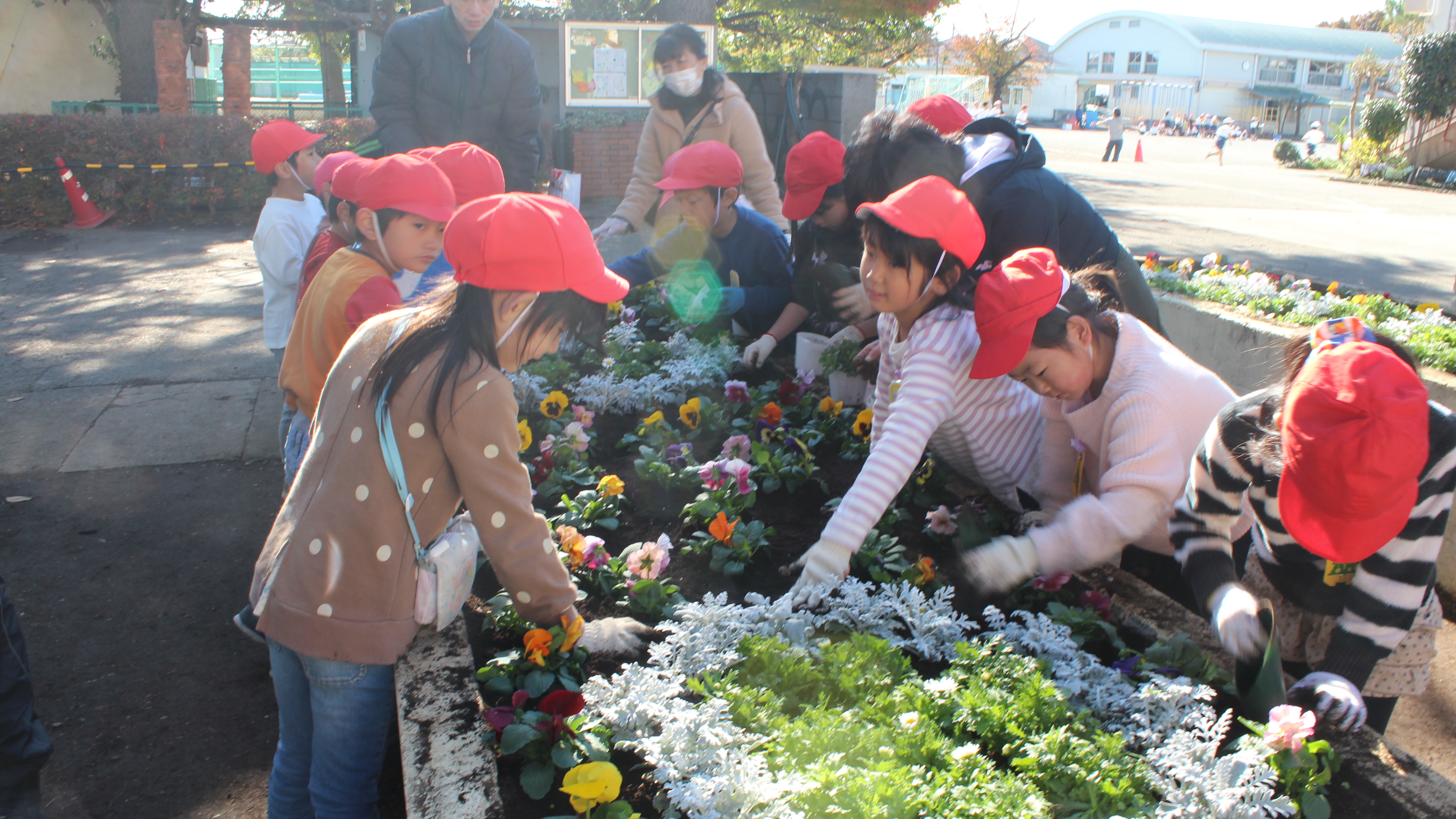 最後は、土がデコボコしているところを手でならします