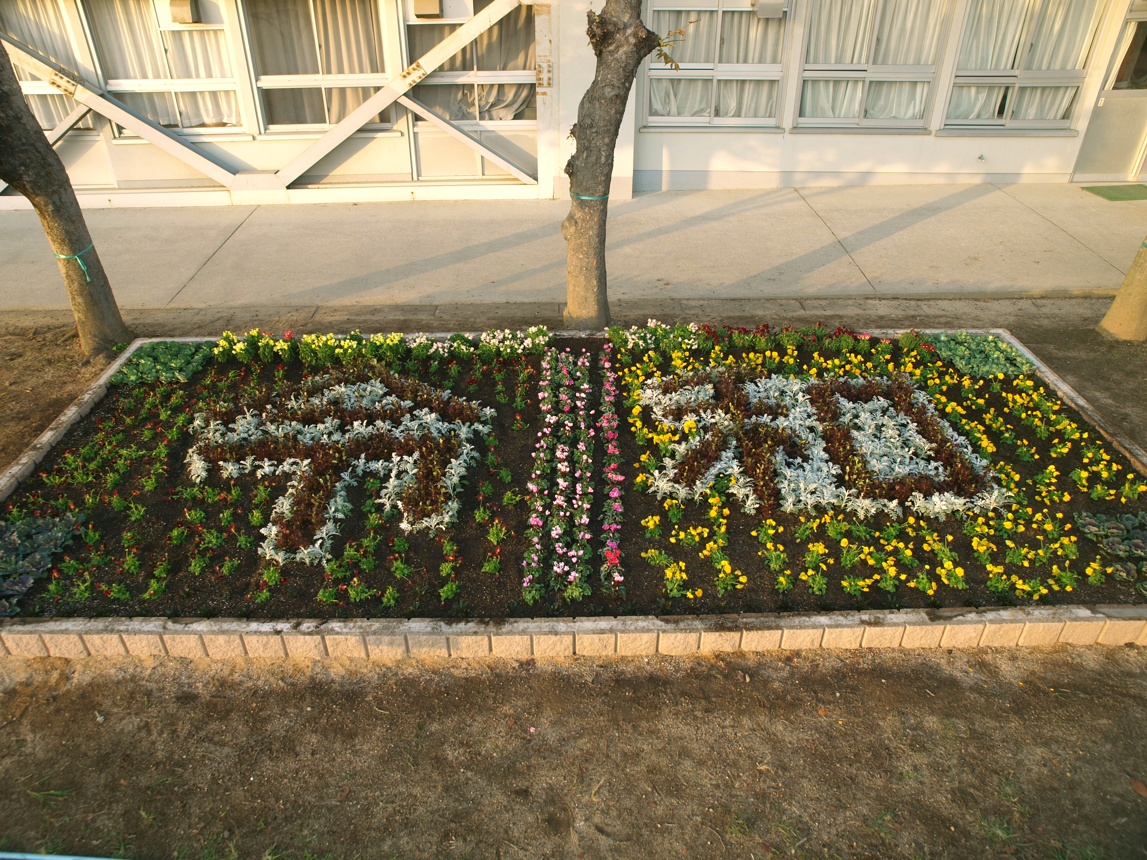 色とりどりの花に囲まれた「令和」の花壇が完成