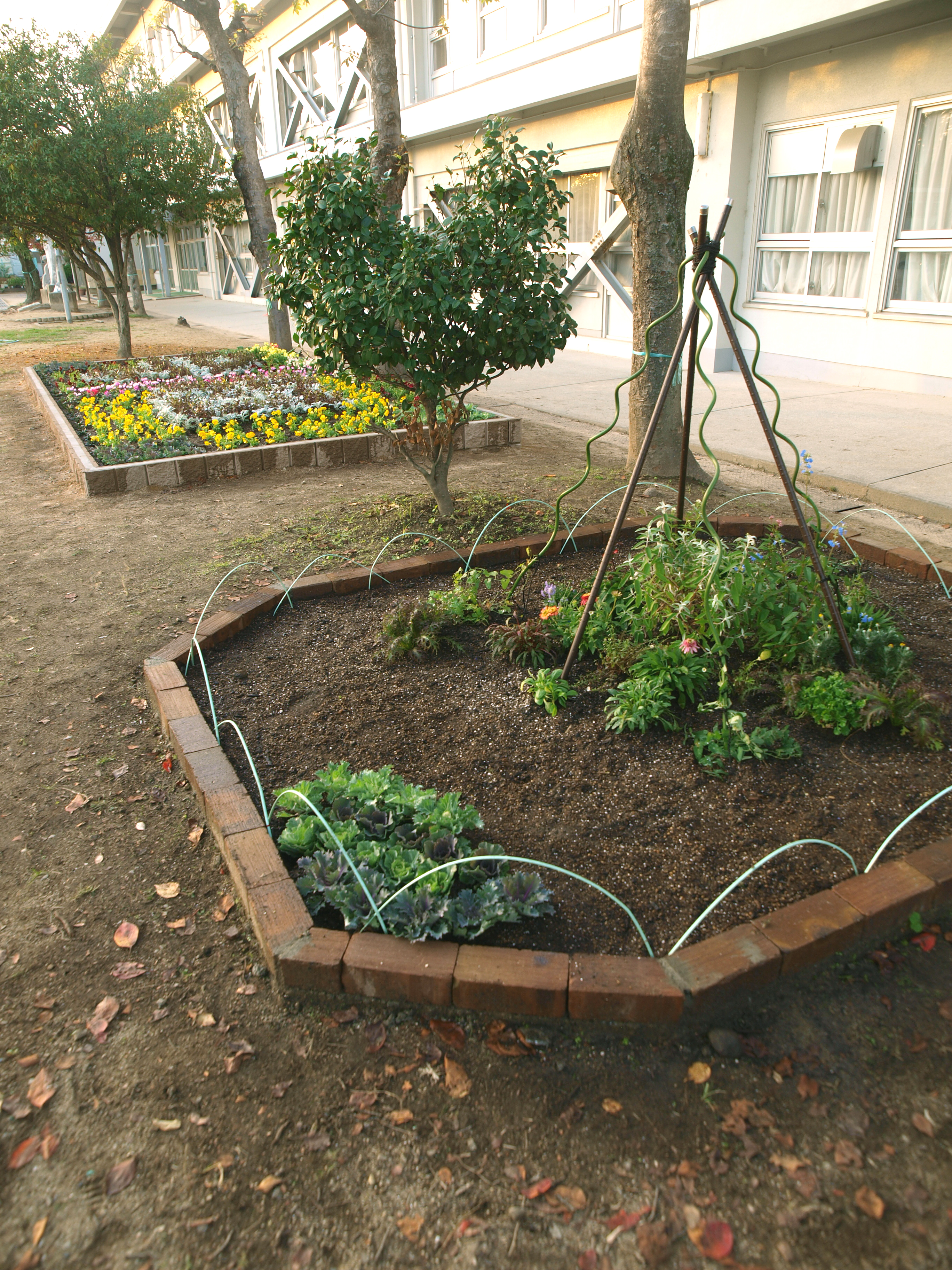 大小2つの花壇が完成